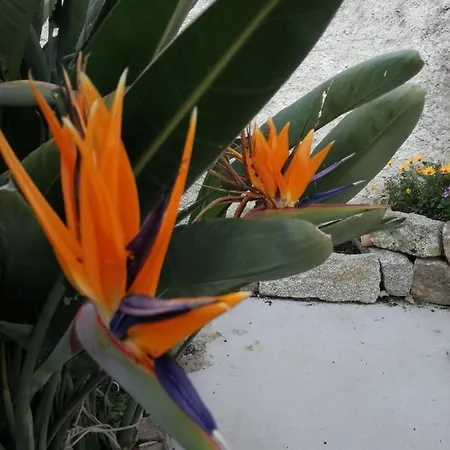 Bed & Breakfast Le Rondini Benetutti