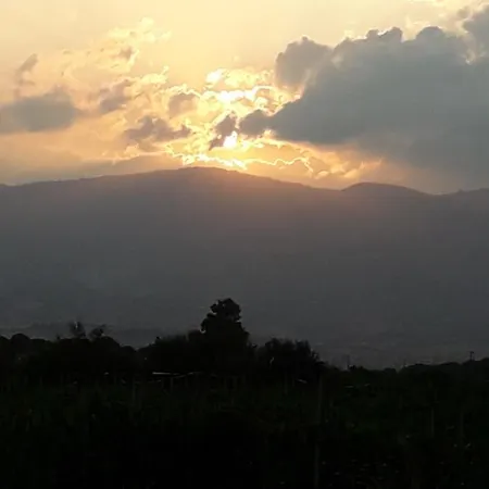 Le Rondini Bed & Breakfast 3*