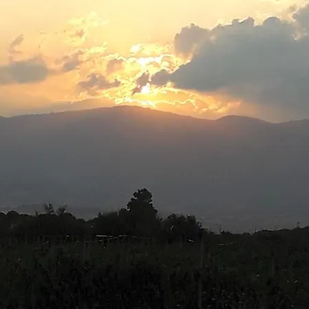 Panzió Le Rondini